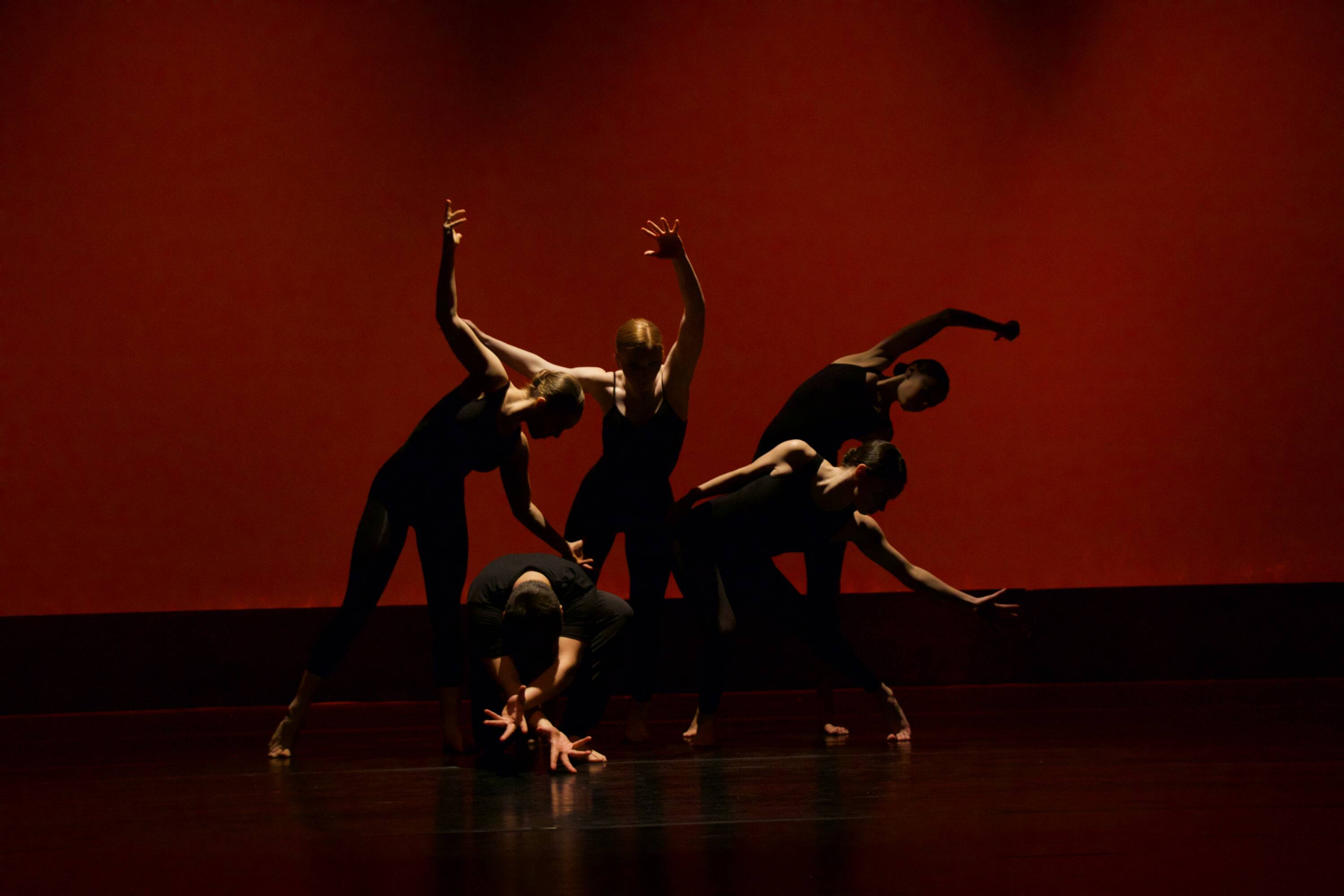 a group of dancers during theatrical performance- sillhouettes in the shadow